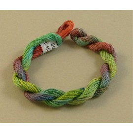 6 strands cotton from green to red n°29